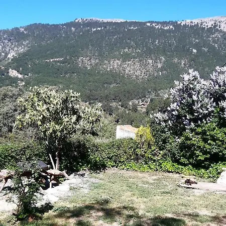 Ahijaderos De Tus Сasa de vacaciones Yeste
