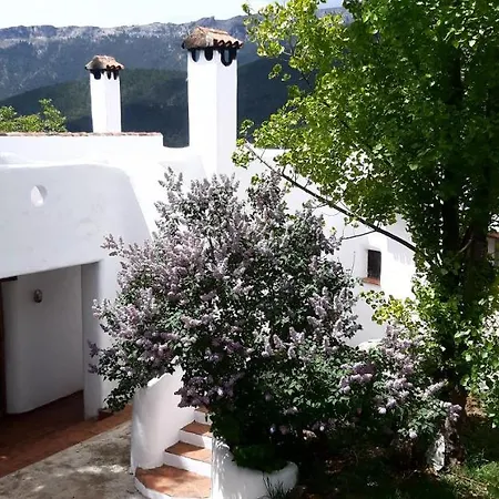 Ahijaderos De Tus Yeste