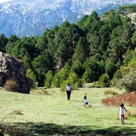 Ahijaderos De Tus *
