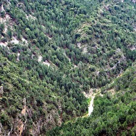 Ahijaderos De Tus